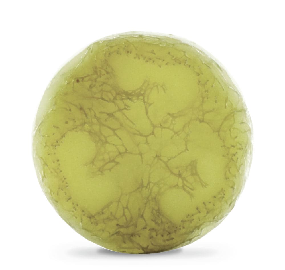 spirulite - single