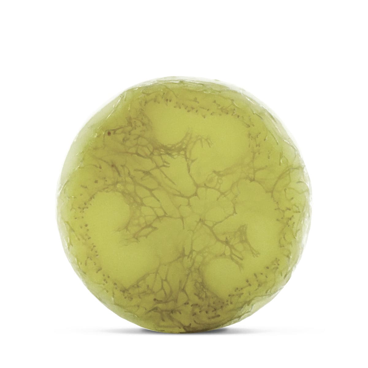 spirulite